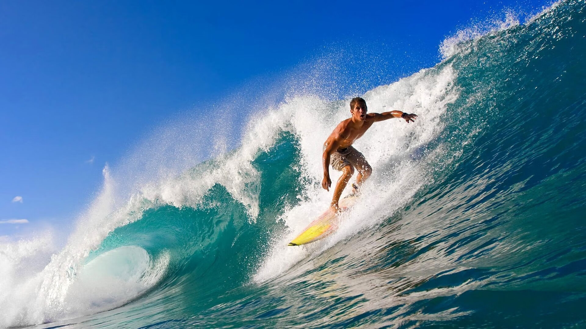 美洲杯赛场环境保护措施落实情况